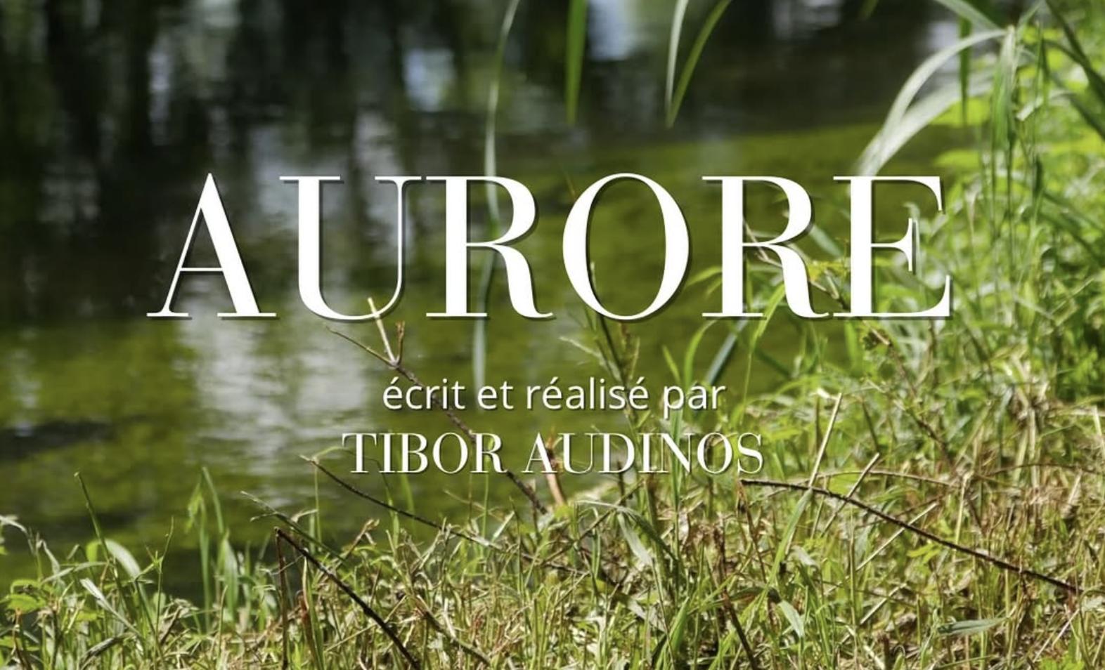 Aurore